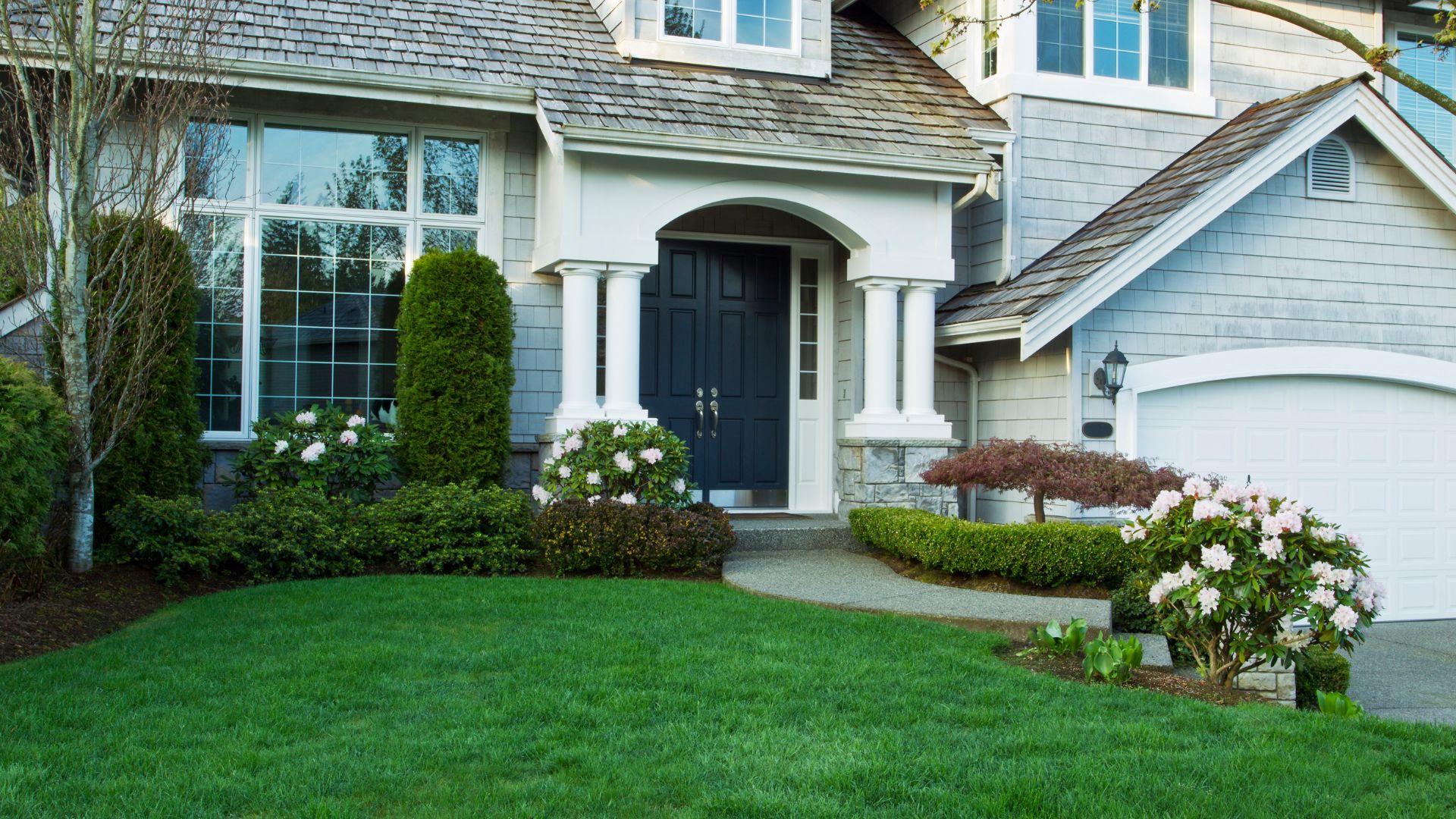 manicured lawn and shrubs